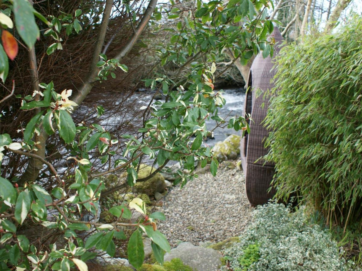 Talybont Bed And Breakfast Barmouth Eksteriør bilde
